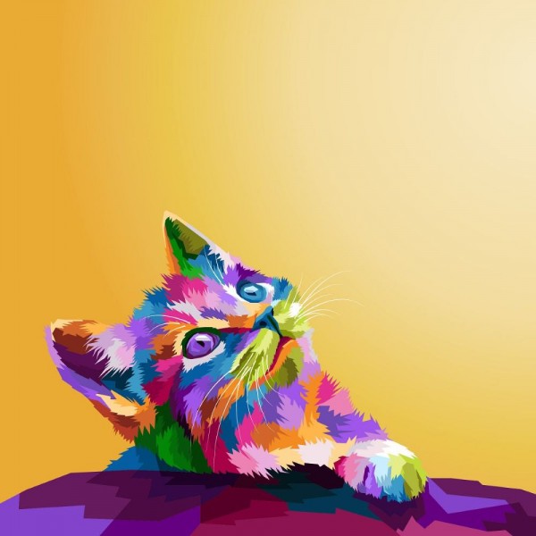 Gatto 5d Diy Kit Diamond Painting Pittura Di Diamante NO3635