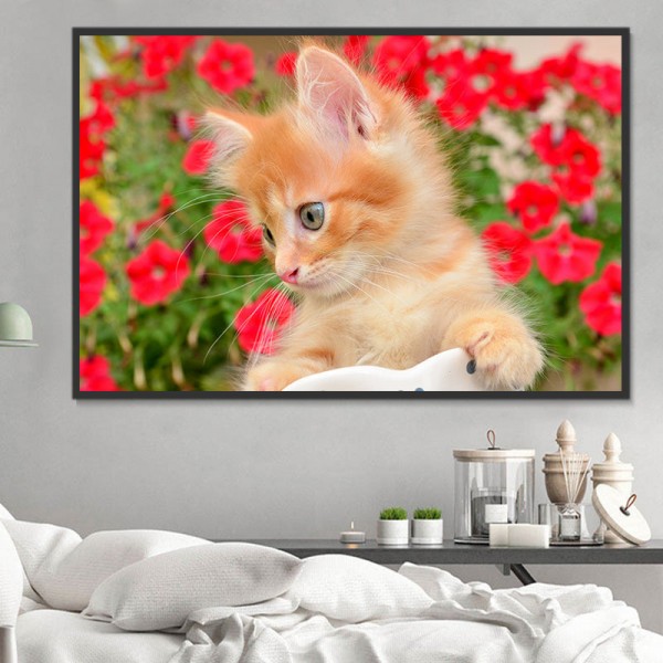 Gatto 5d Diy Kit Diamond Painting Pittura Di Diamante NO3622