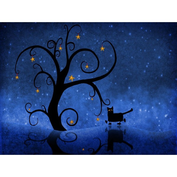 Gatto 5d Diy Kit Diamond Painting Pittura Di Diamante NO3613