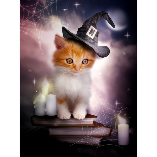 Gatto 5d Diy Kit Diamond Painting Pittura Di Diamante NO3609