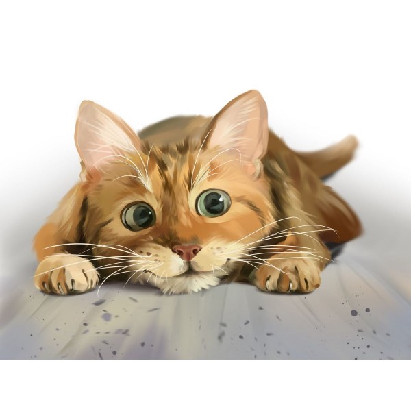 Gatto 5d Diy Kit Diamond Painting Pittura Di Diamante NO3608