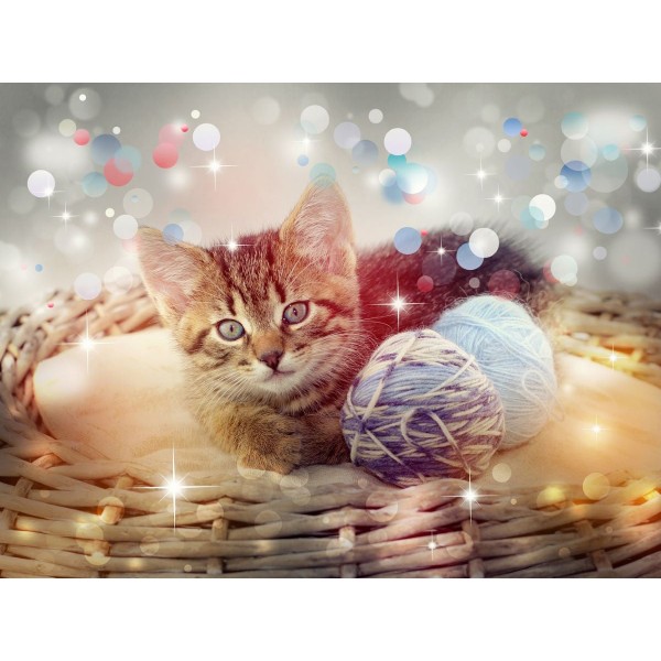 Gatto 5d Diy Kit Diamond Painting Pittura Di Diamante NO3607