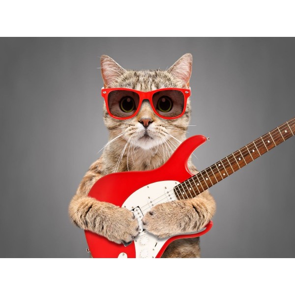 Gatto 5d Diy Kit Diamond Painting Pittura Di Diamante NO3603