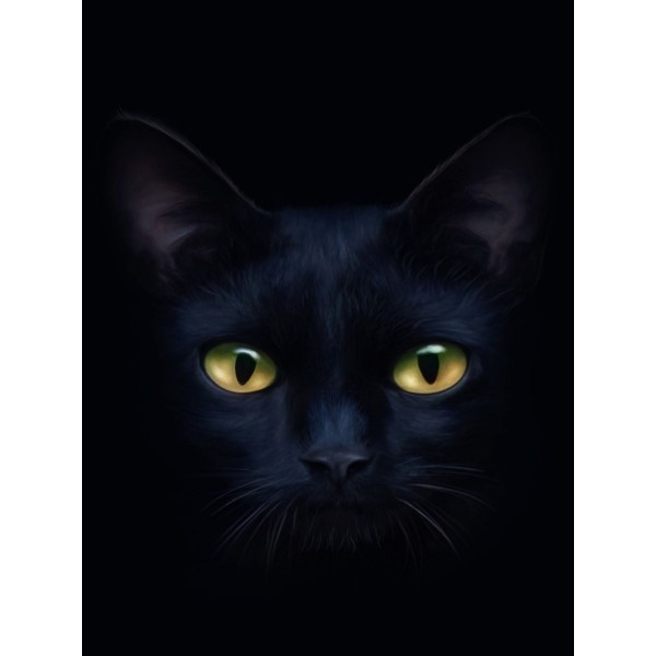 Gatto 5d Diy Kit Diamond Painting Pittura Di Diamante NO3599