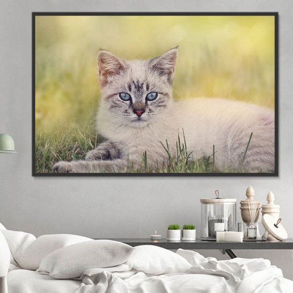Gatto 5d Diy Kit Diamond Painting Pittura Di Diamante NO3597