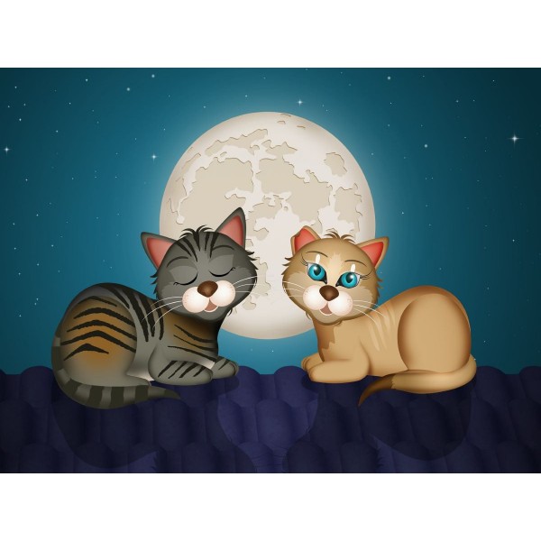 Gatto 5d Diy Kit Diamond Painting Pittura Di Diamante NO3591