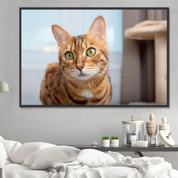 Gatto 5d Diy Kit Diamond Painting Pittura Di Diamante NO3587