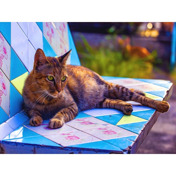 Gatto 5d Diy Kit Diamond Painting Pittura Di Diamante NO3584