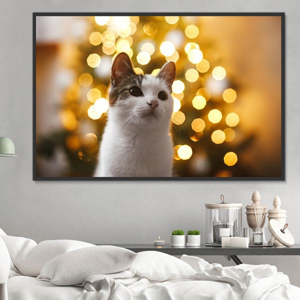 Gatto 5d Diy Kit Diamond Painting Pittura Di Diamante NO3585