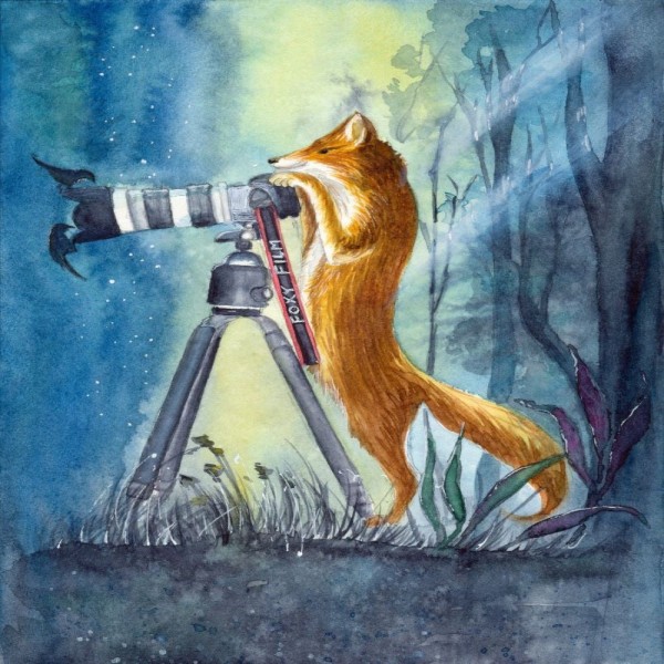 Gatto 5d Diy Kit Diamond Painting Pittura Di Diamante NO3580