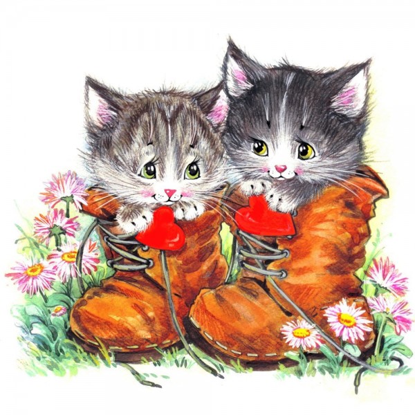 Gatto 5d Diy Kit Diamond Painting Pittura Di Diamante NO3574