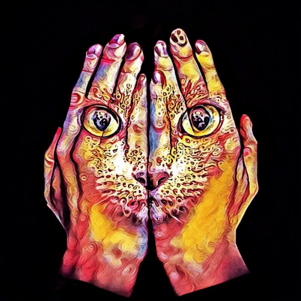 Gatto 5d Diy Kit Diamond Painting Pittura Di Diamante NO3568