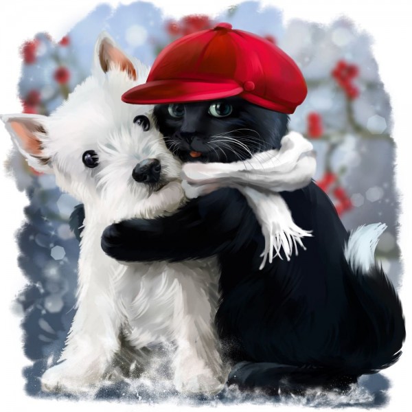 Gatto 5d Diy Kit Diamond Painting Pittura Di Diamante NO3567