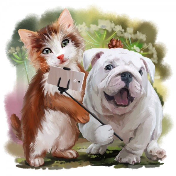 Gatto 5d Diy Kit Diamond Painting Pittura Di Diamante NO3566