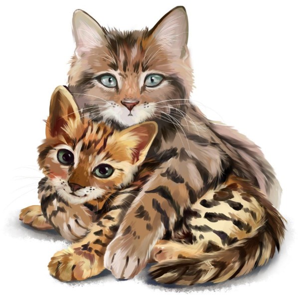 Gatto 5d Diy Kit Diamond Painting Pittura Di Diamante NO3565