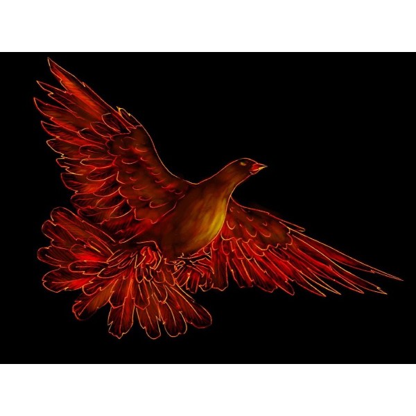 Fenice 5d Diy Kit Diamond Painting Pittura Di Diamante NO3562