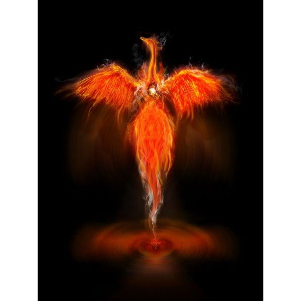 Fenice 5d Diy Kit Diamond Painting Pittura Di Diamante NO3561