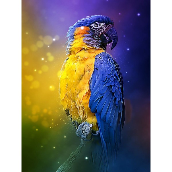 Pappagallo 5d Diy Kit Diamond Painting Pittura Di Diamante NO3528