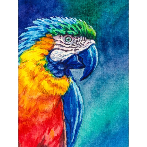 Pappagallo 5d Diy Kit Diamond Painting Pittura Di Diamante NO3522