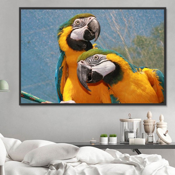 Pappagallo 5d Diy Kit Diamond Painting Pittura Di Diamante NO3524