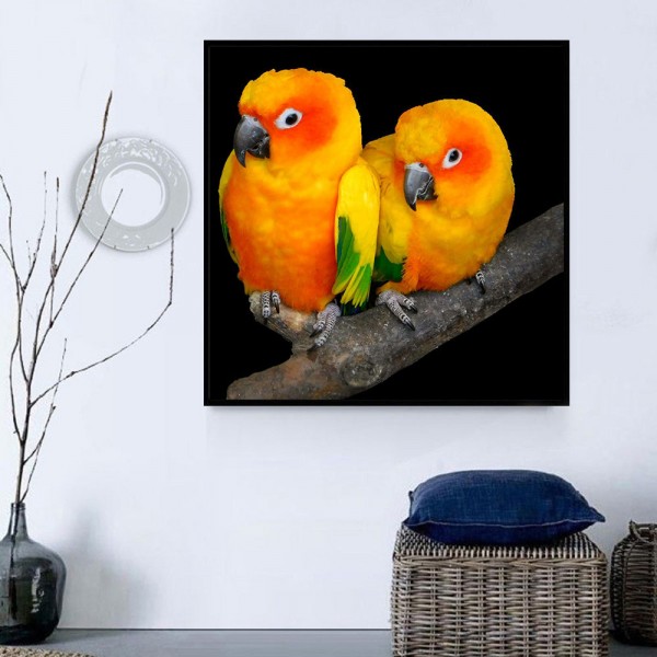 Pappagallo 5d Diy Kit Diamond Painting Pittura Di Diamante NO3523