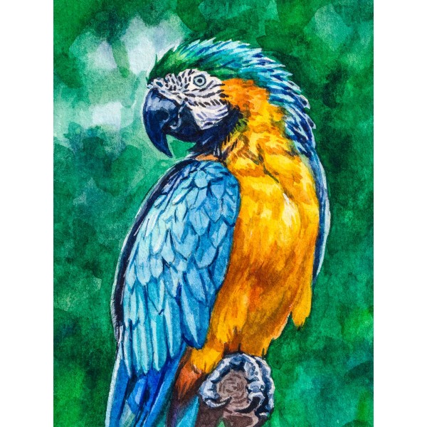 Pappagallo 5d Diy Kit Diamond Painting Pittura Di Diamante NO3521