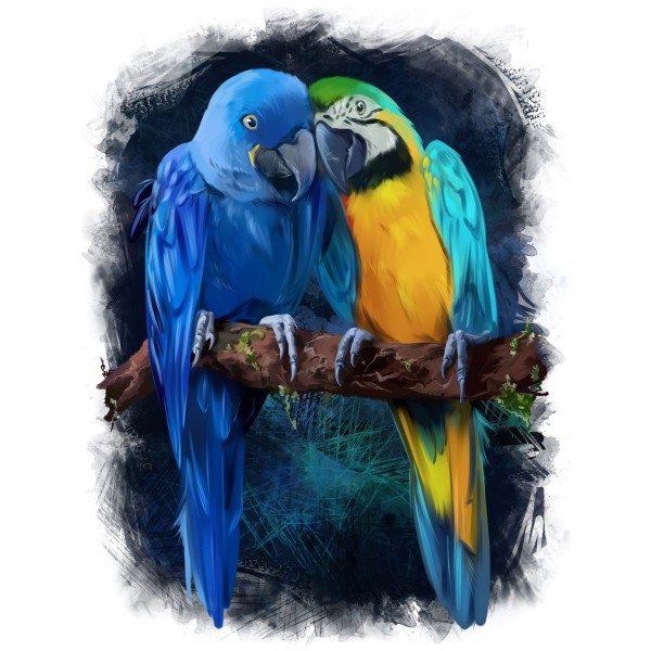 Pappagallo 5d Diy Kit Diamond Painting Pittura Di Diamante NO3520