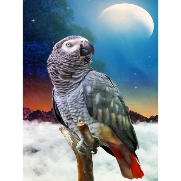 Pappagallo 5d Diy Kit Diamond Painting Pittura Di Diamante NO3519