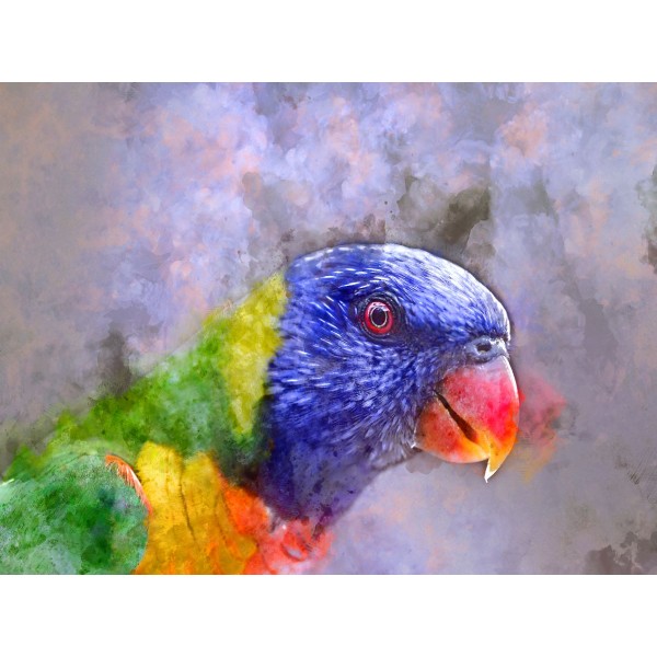 Pappagallo 5d Diy Kit Diamond Painting Pittura Di Diamante NO3518