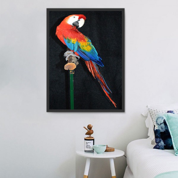 Pappagallo 5d Diy Kit Diamond Painting Pittura Di Diamante NO3517