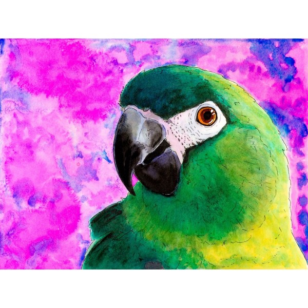 Pappagallo 5d Diy Kit Diamond Painting Pittura Di Diamante NO3513
