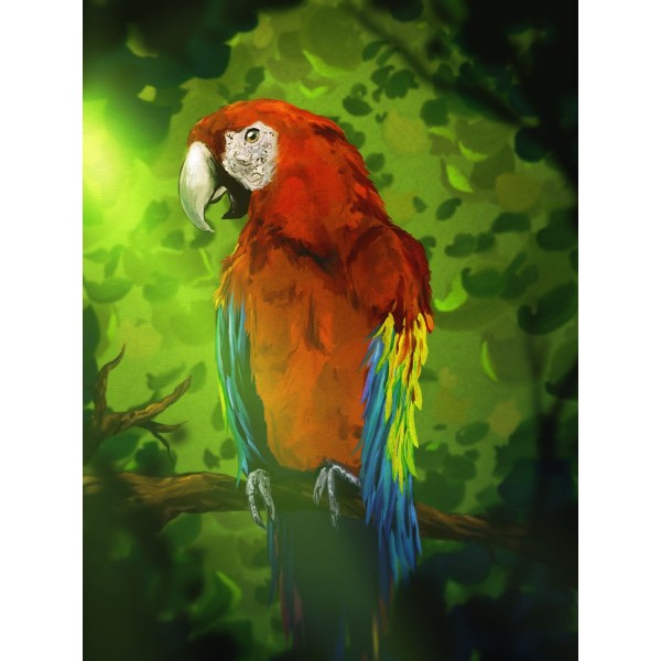 Pappagallo 5d Diy Kit Diamond Painting Pittura Di Diamante NO3509
