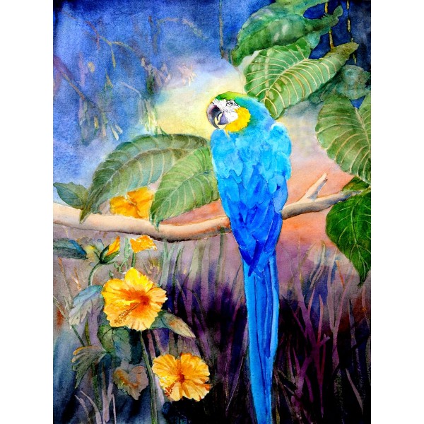 Pappagallo 5d Diy Kit Diamond Painting Pittura Di Diamante NO3507