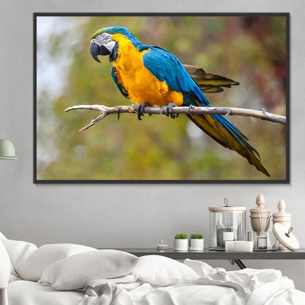 Pappagallo 5d Diy Kit Diamond Painting Pittura Di Diamante NO3498