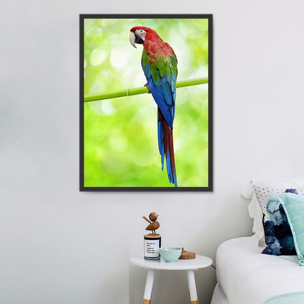 Pappagallo 5d Diy Kit Diamond Painting Pittura Di Diamante NO3495