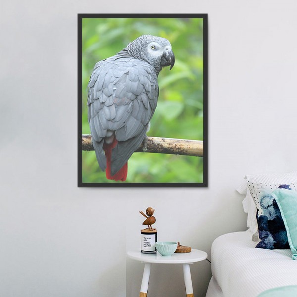 Pappagallo 5d Diy Kit Diamond Painting Pittura Di Diamante NO3494