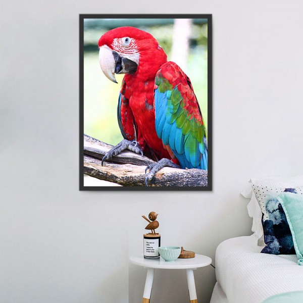 Pappagallo 5d Diy Kit Diamond Painting Pittura Di Diamante NO3491