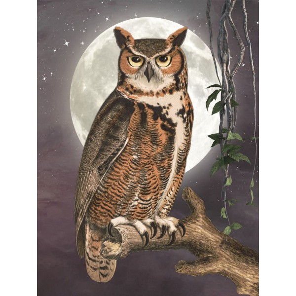 Gufo 5d Diy Kit Diamond Painting Pittura Di Diamante NO3474