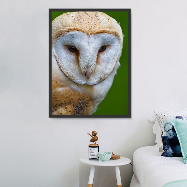 Gufo 5d Diy Kit Diamond Painting Pittura Di Diamante NO3476