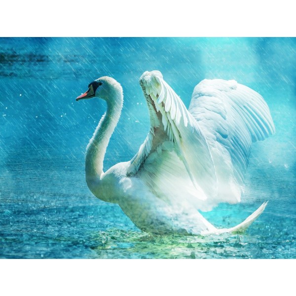 Cigno 5d Diy Kit Diamond Painting Pittura Di Diamante NO3473