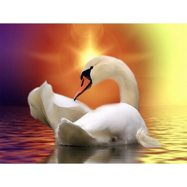 Cigno 5d Diy Kit Diamond Painting Pittura Di Diamante NO3471