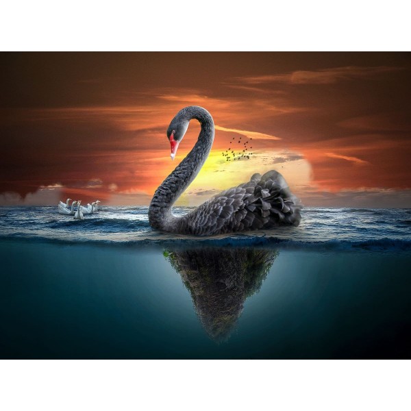 Cigno 5d Diy Kit Diamond Painting Pittura Di Diamante NO3468