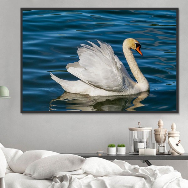 Cigno 5d Diy Kit Diamond Painting Pittura Di Diamante NO3470