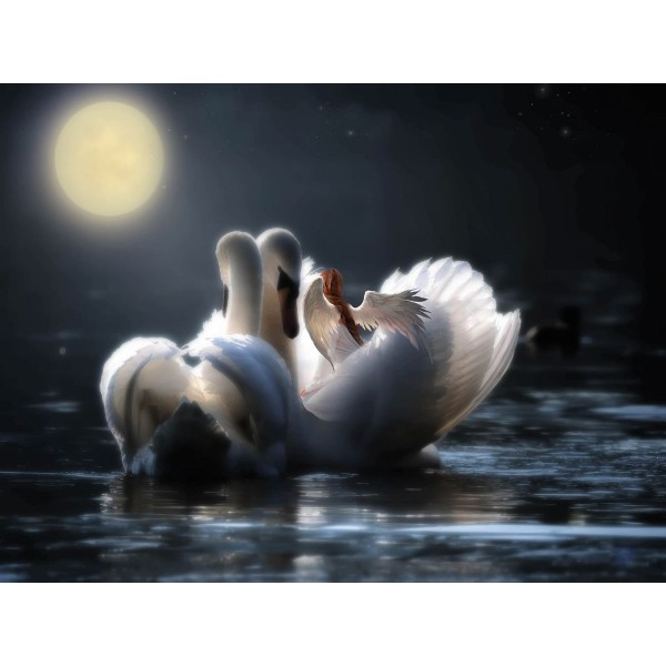 Cigno 5d Diy Kit Diamond Painting Pittura Di Diamante NO3467