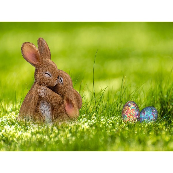 Coniglio 5d Diy Kit Diamond Painting Pittura Di Diamante NO3465