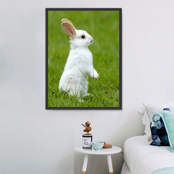 Coniglio 5d Diy Kit Diamond Painting Pittura Di Diamante NO3464