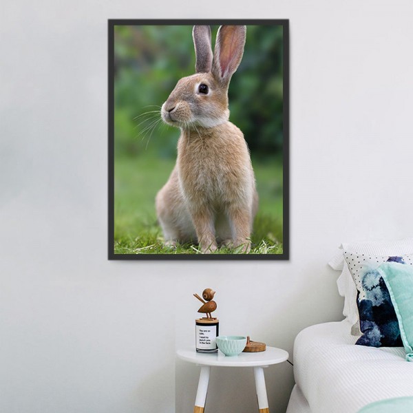 Coniglio 5d Diy Kit Diamond Painting Pittura Di Diamante NO3463