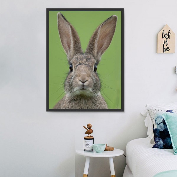 Coniglio 5d Diy Kit Diamond Painting Pittura Di Diamante NO3462