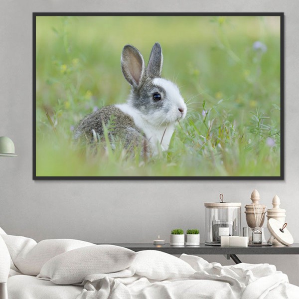 Coniglio 5d Diy Kit Diamond Painting Pittura Di Diamante NO3461