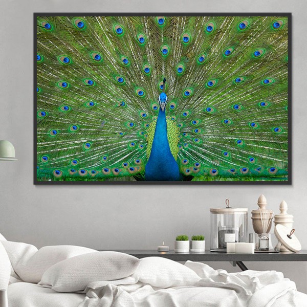 Pavone 5d Diy Kit Diamond Painting Pittura Di Diamante NO3452